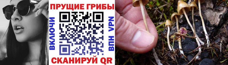 Галлюциногенные грибы прущие грибы mega зеркало Феодосия наркошоп